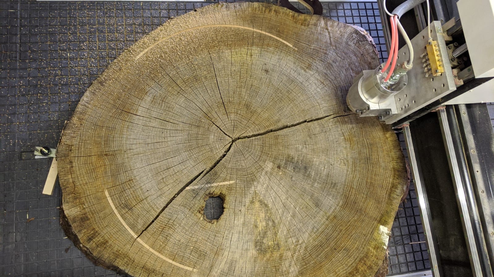 Nahaufnahme der Stahlband-Einlage zur Stabilisierung der Eichenscheibe